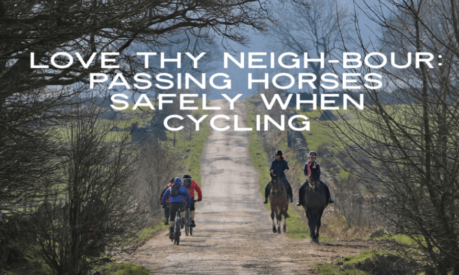 Love thy neigh-bour:  passing horses safely when cycling